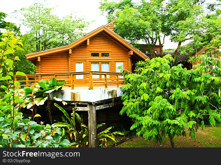 Cabin in the big forest