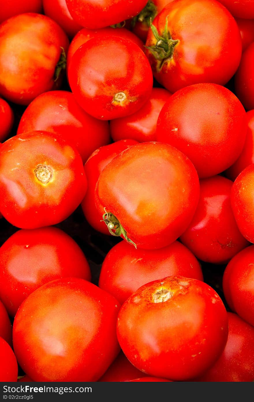 Tomatoes for sale at a local farmer's market