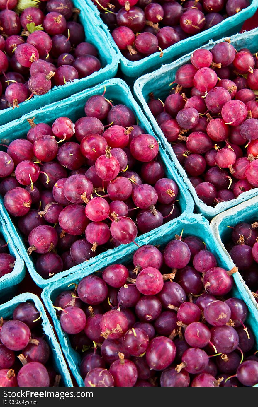 Pints of Gooseberries for sale at a local farmer's market