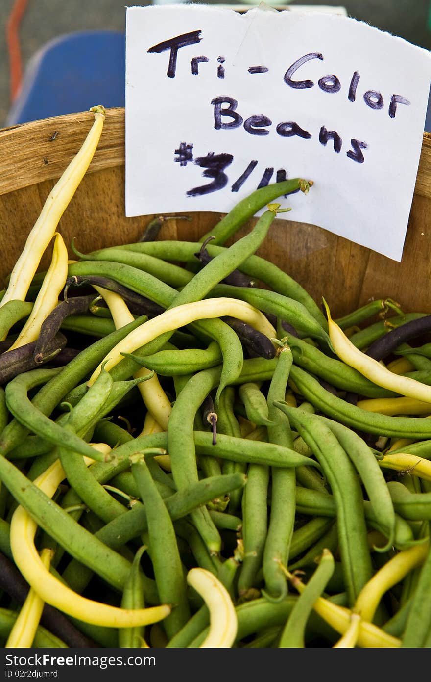 Tri Color Beans For Sale