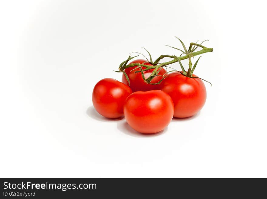 Tomatos on the Vine