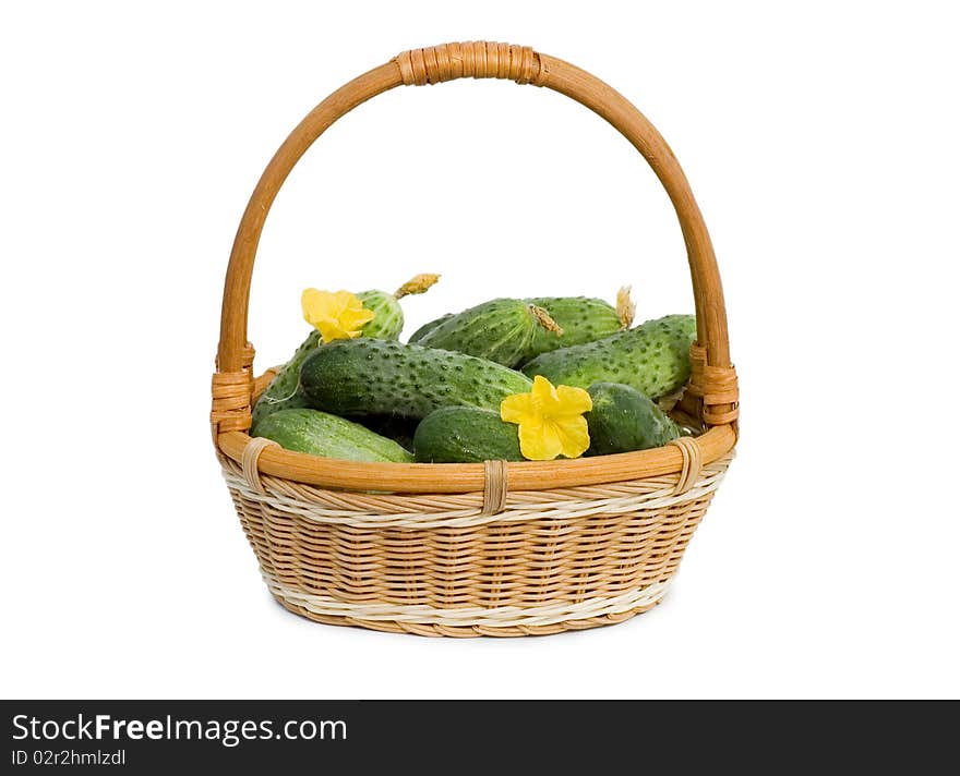 Green cucumber vegetable with flowers isolated