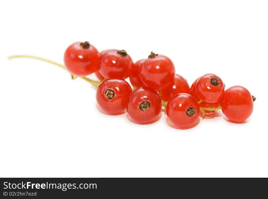 Red currant isolated on white background