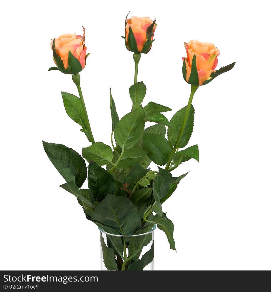 Three very nice orange roses