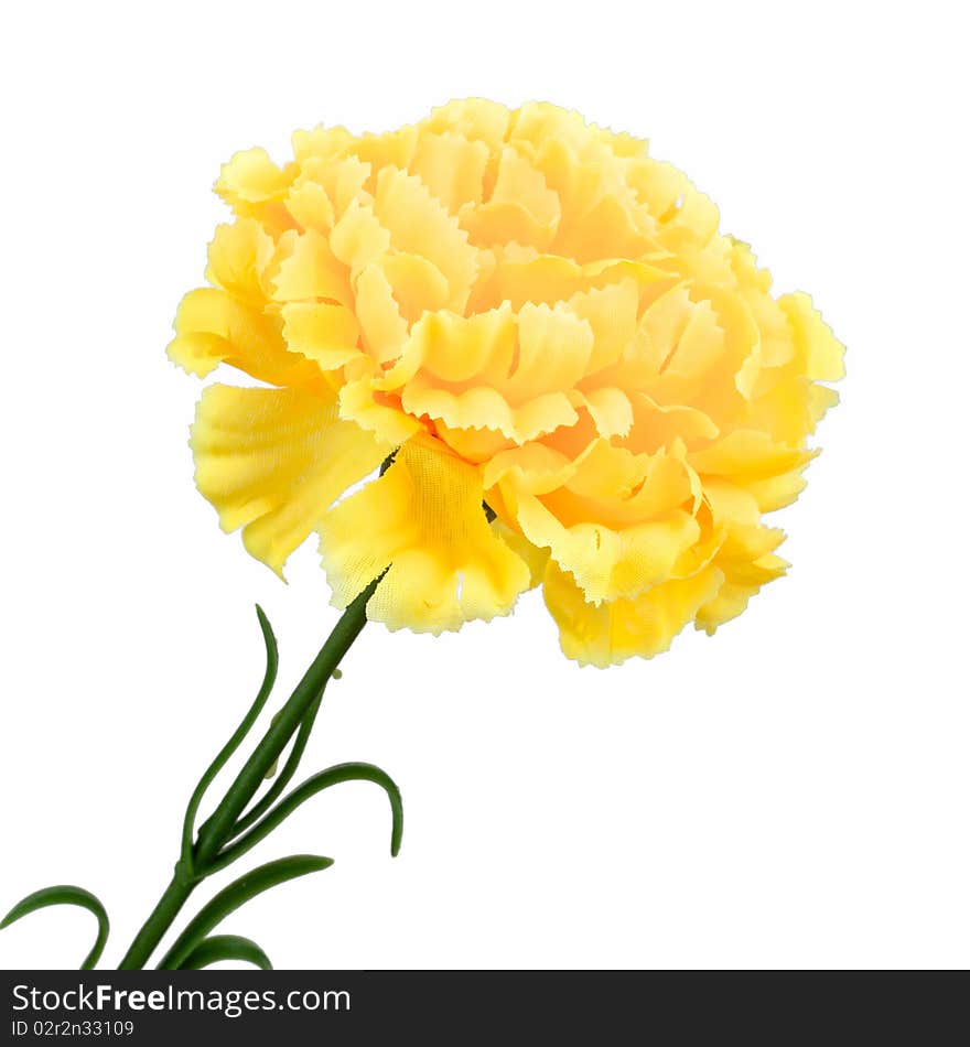 Very nice yellow and green flower. Very nice yellow and green flower