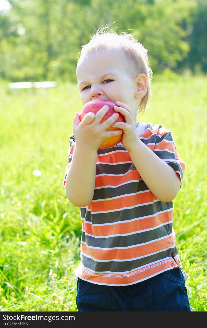 Portrait of the child holding an apple. Portrait of the child holding an apple