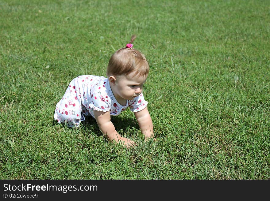 Baby crawling on the green grass