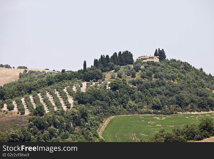 Tuscan Landscape