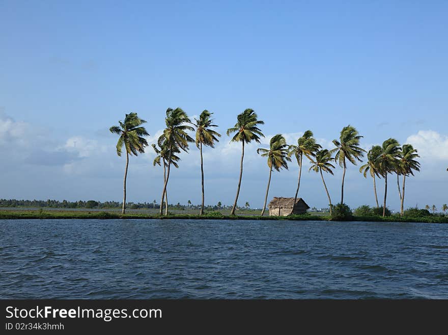 Backwaters Of Kerala