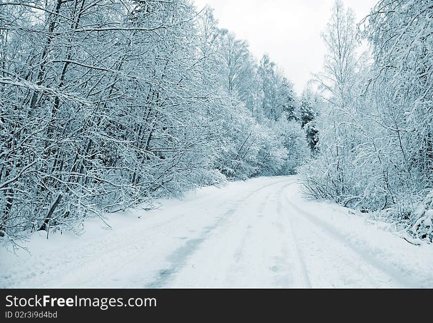 Winter road