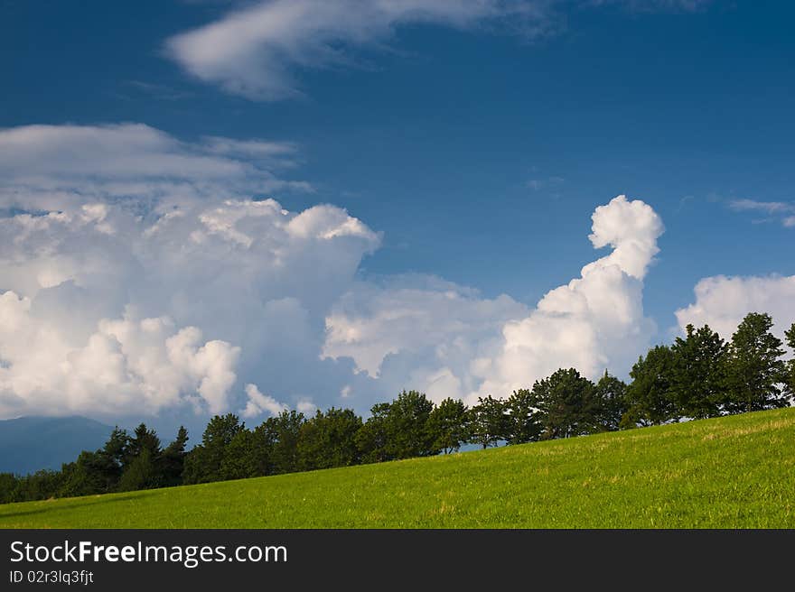 Slope Meadow