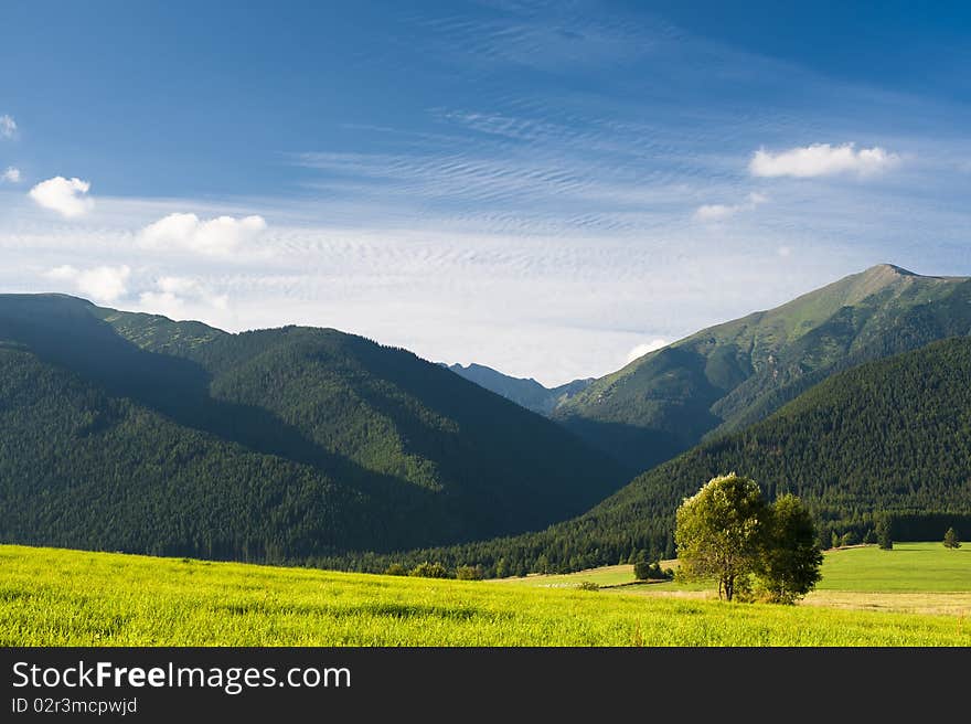 Tree and mountains