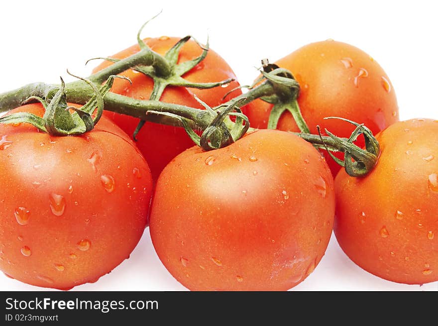 Tomatoes