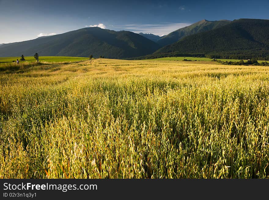 Field and mountains