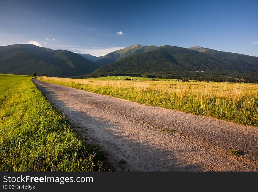 Road in evening