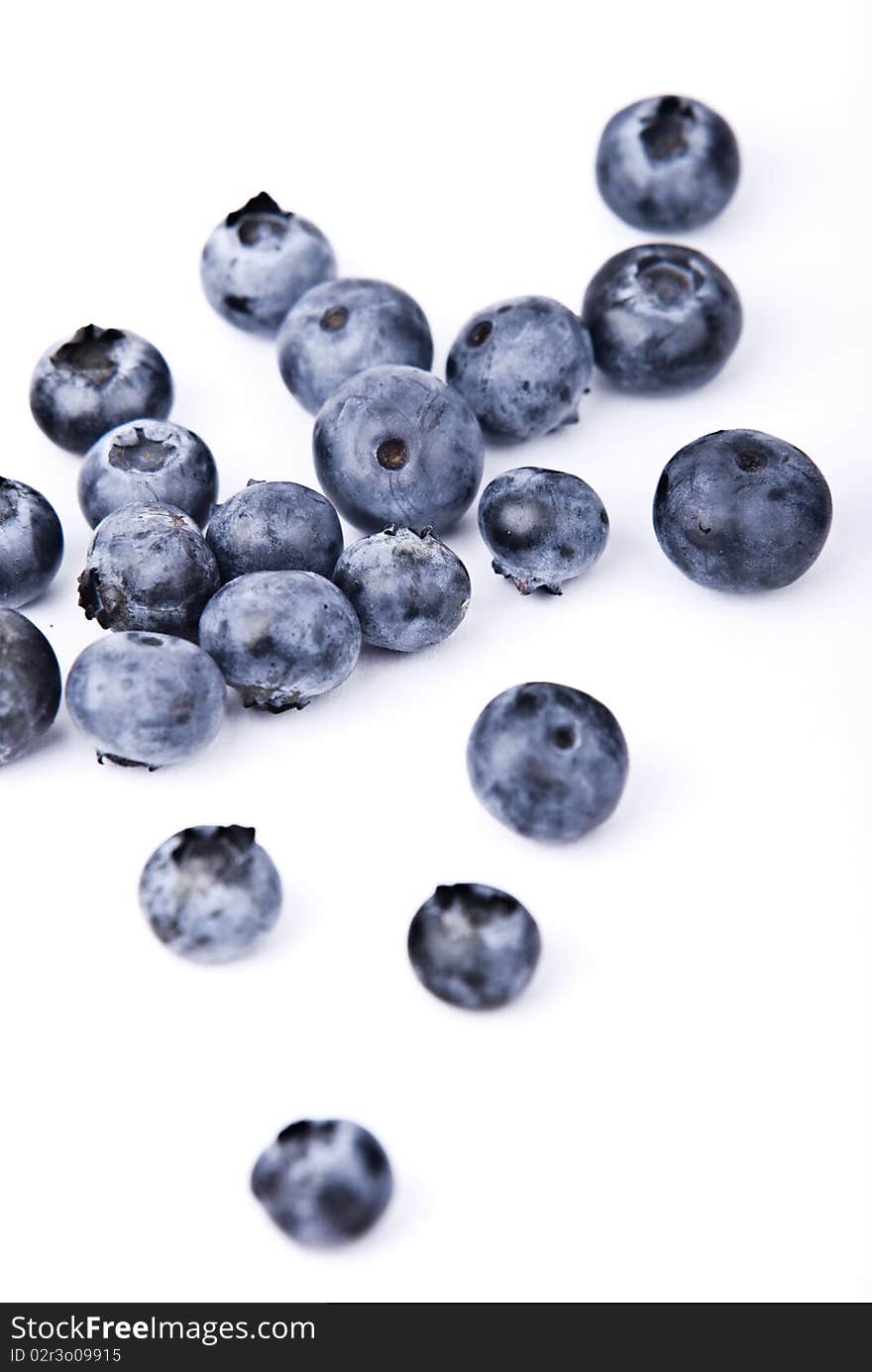 Blueberries With White Background