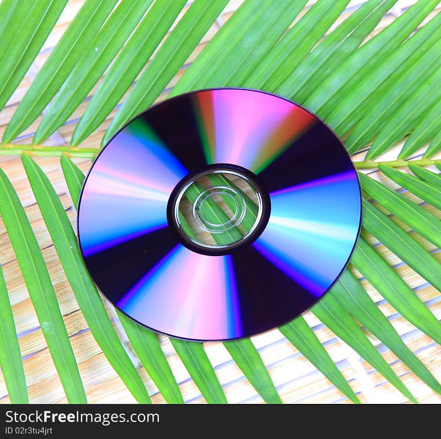 Compact disc with green leaves background giving message of eco friendly music.