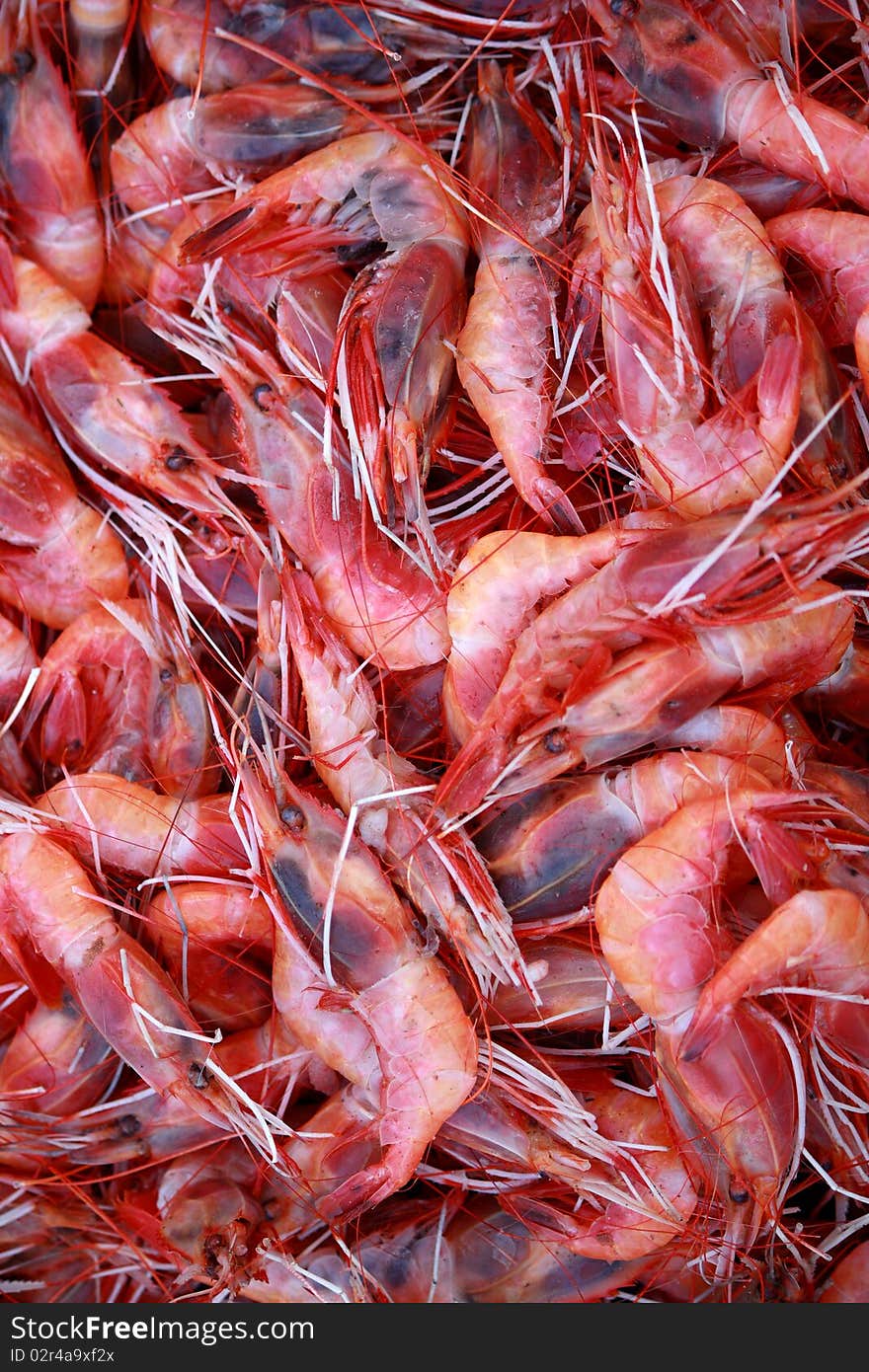 Shrimps