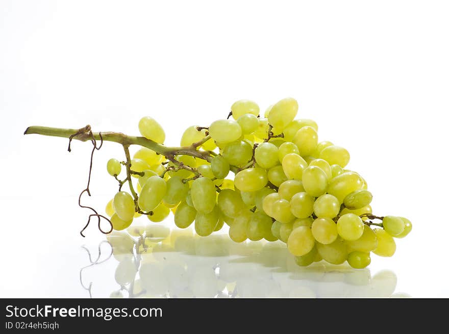 Fresh green juisy grape vine isolated on white background. Fresh green juisy grape vine isolated on white background