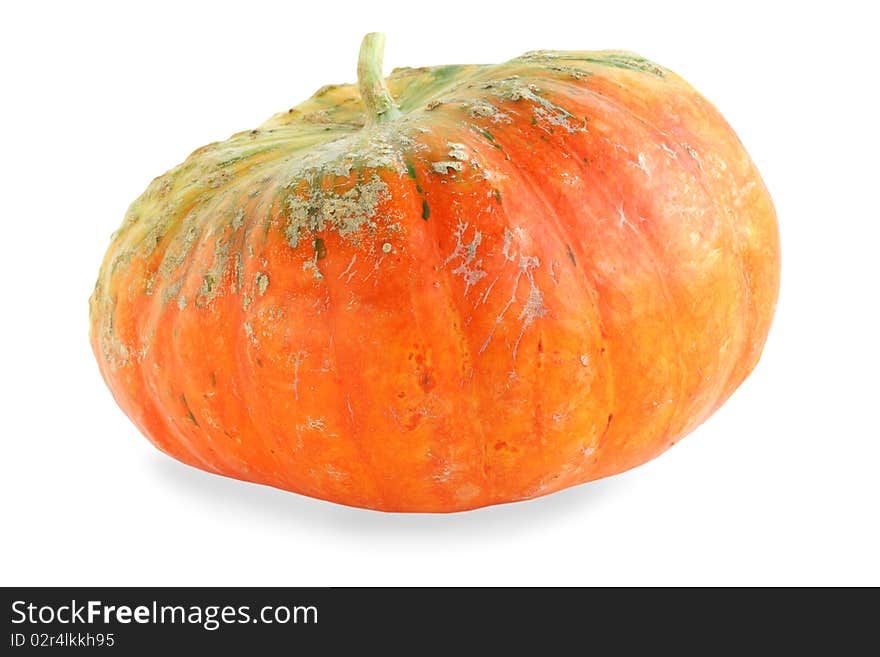 Single fresh pumpkin isolated on white background