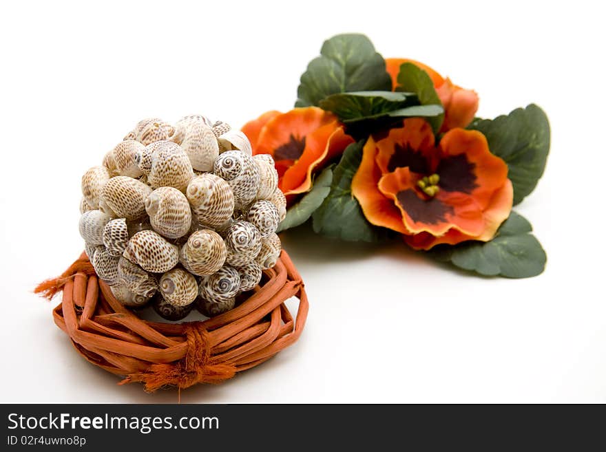 Sea shell on ring with flower