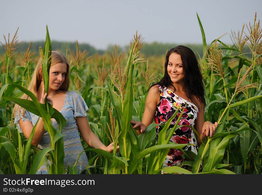 Young girl on a background of green maize and blue sky