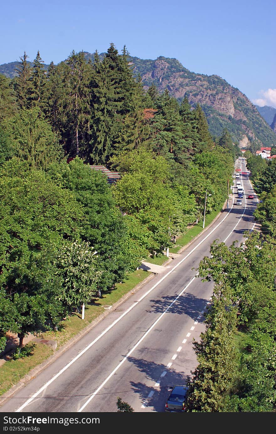 Curved road through the forest