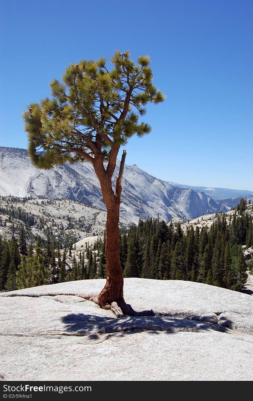 Yosemite national park - view from High Country