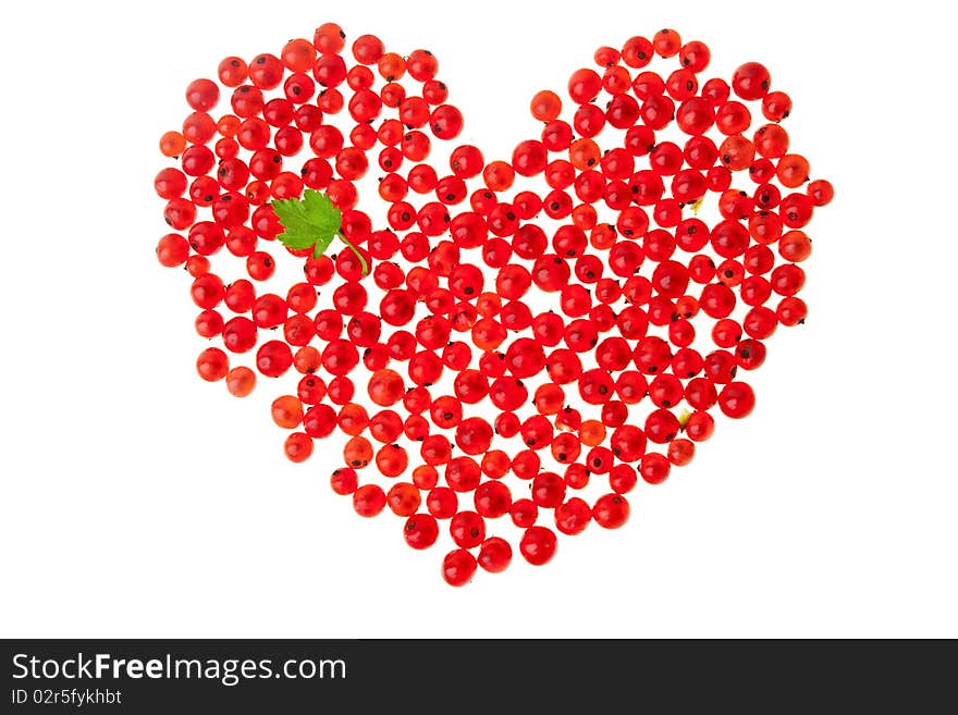 Currants against white background, close-up. Currants against white background, close-up