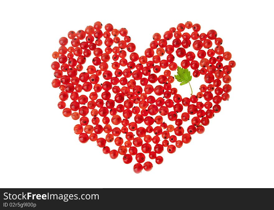 Currants against white background, close-up. Currants against white background, close-up