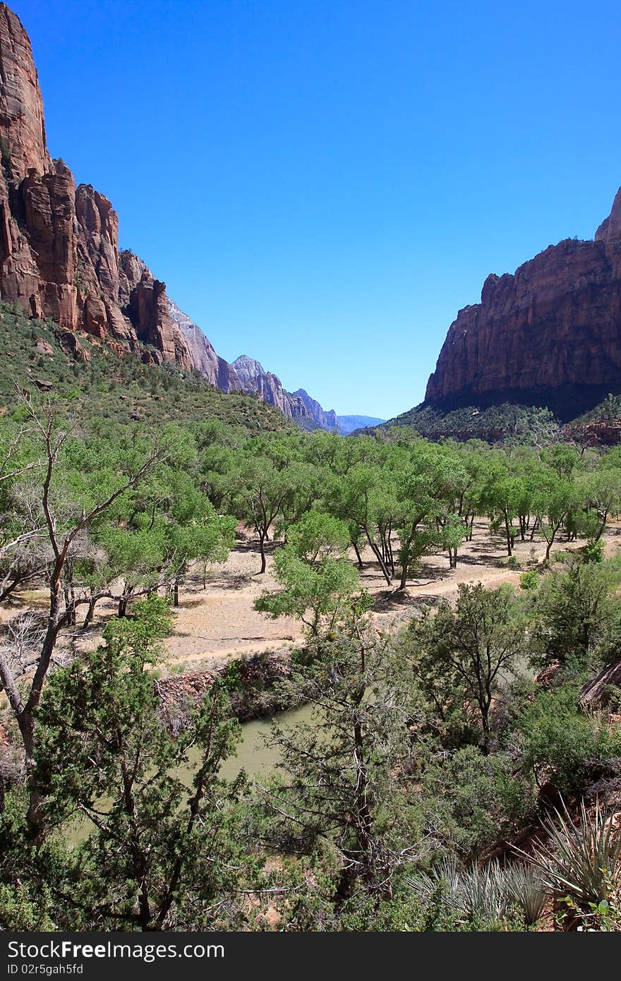 Landscape at Zion National Park Utah. Landscape at Zion National Park Utah