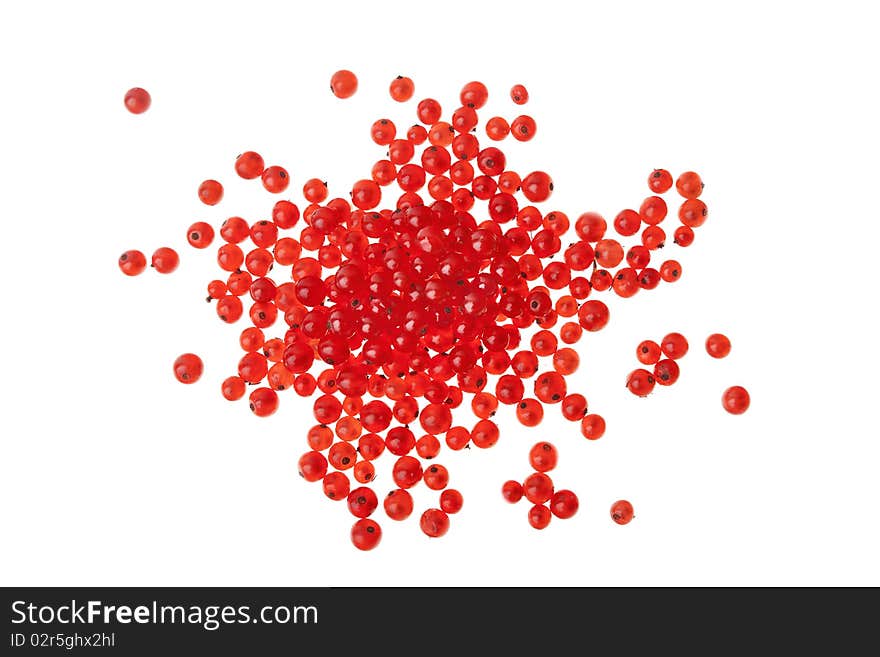 Currants against white background, close-up. Currants against white background, close-up