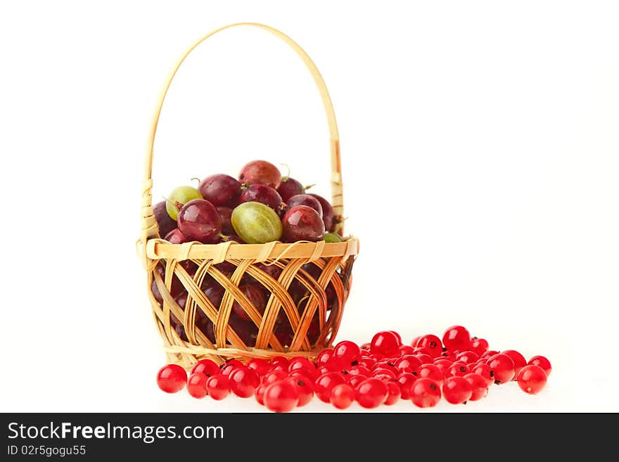 Currants and gooseberries against white background