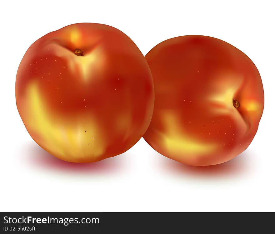 Two ripe peaches. Photo-realistic vector illustration.