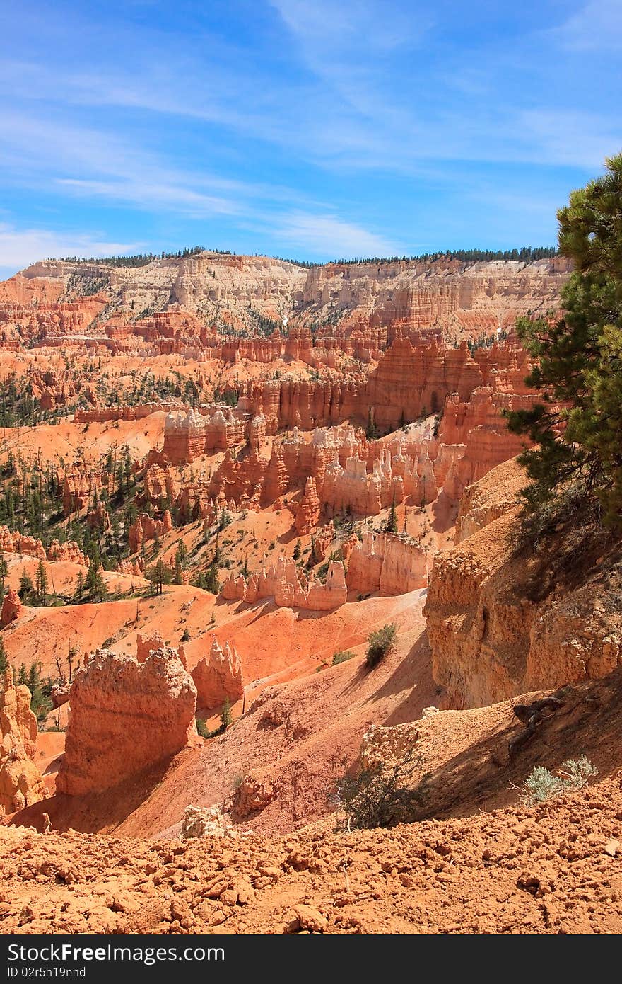 Hoodoos at Bryce Canyon Rim Trail Utah