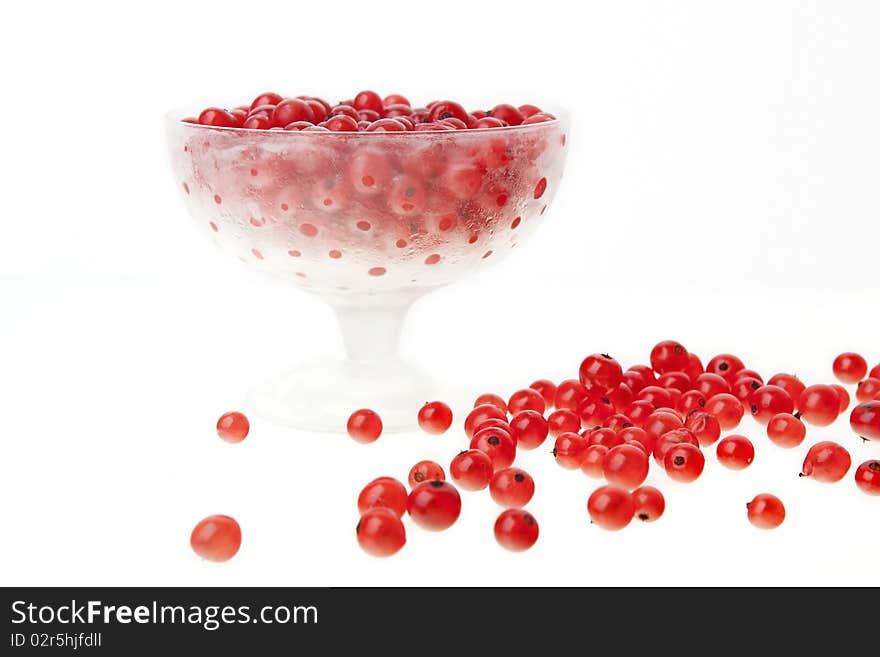 Currants against white background, close-up. Currants against white background, close-up