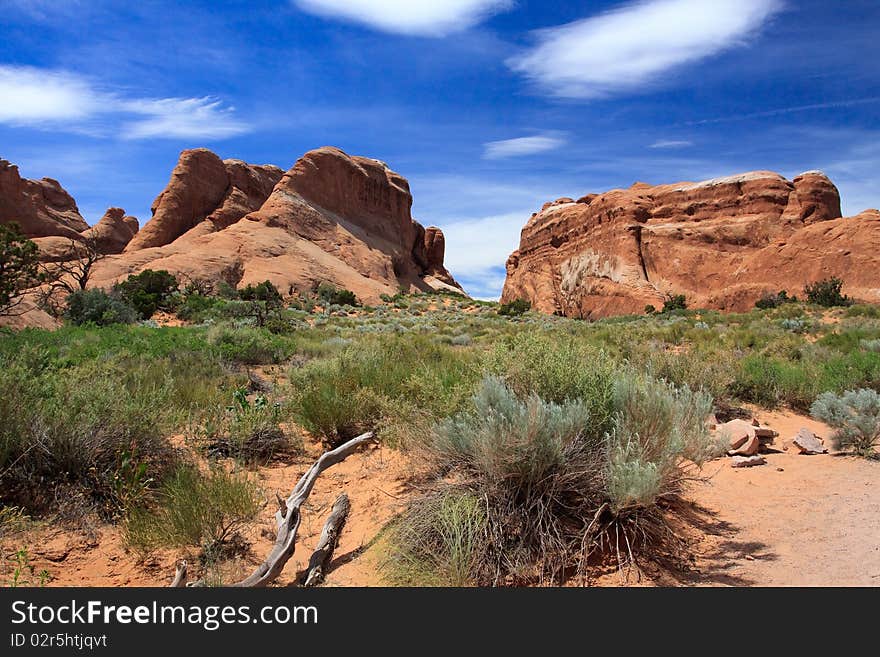 Landscape of Devils garden trail Arches