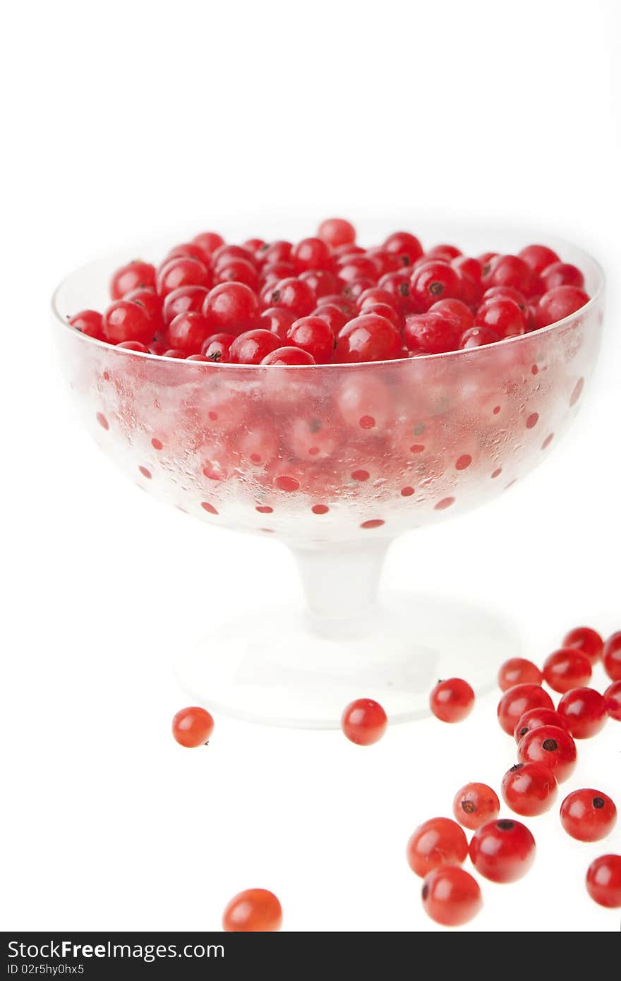 Currants against white background, close-up. Currants against white background, close-up