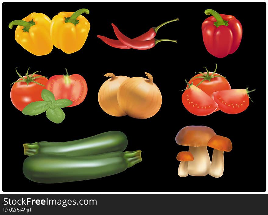 The big colorful group of ripe vegetables. Photo-realistic vector.