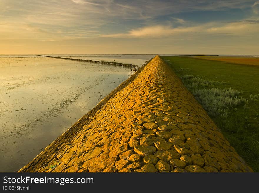 A warm yellow dike at the Waddensea