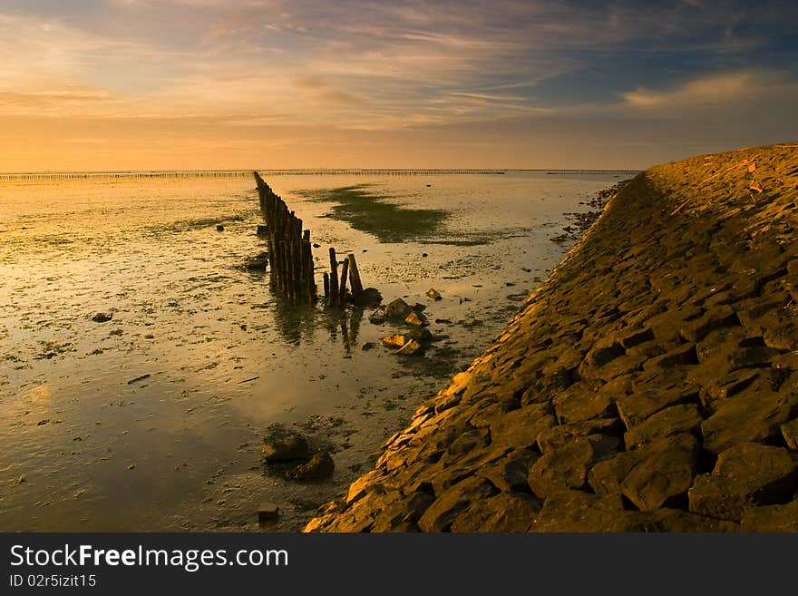 A warm yellow dike at the Waddensea