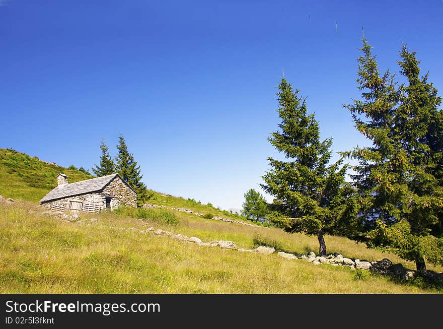 House in the meadow