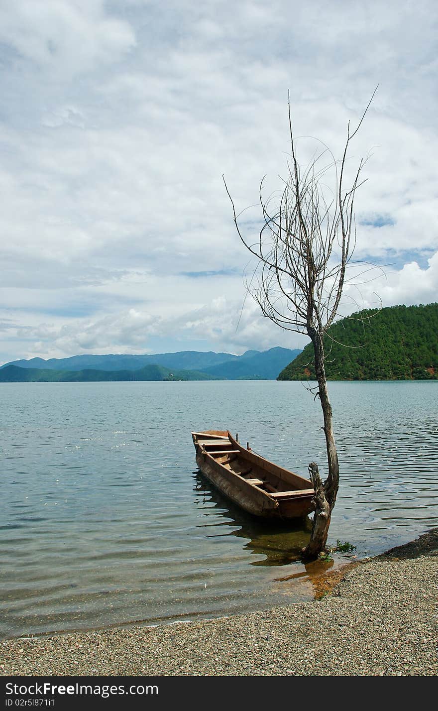 Boat and tree