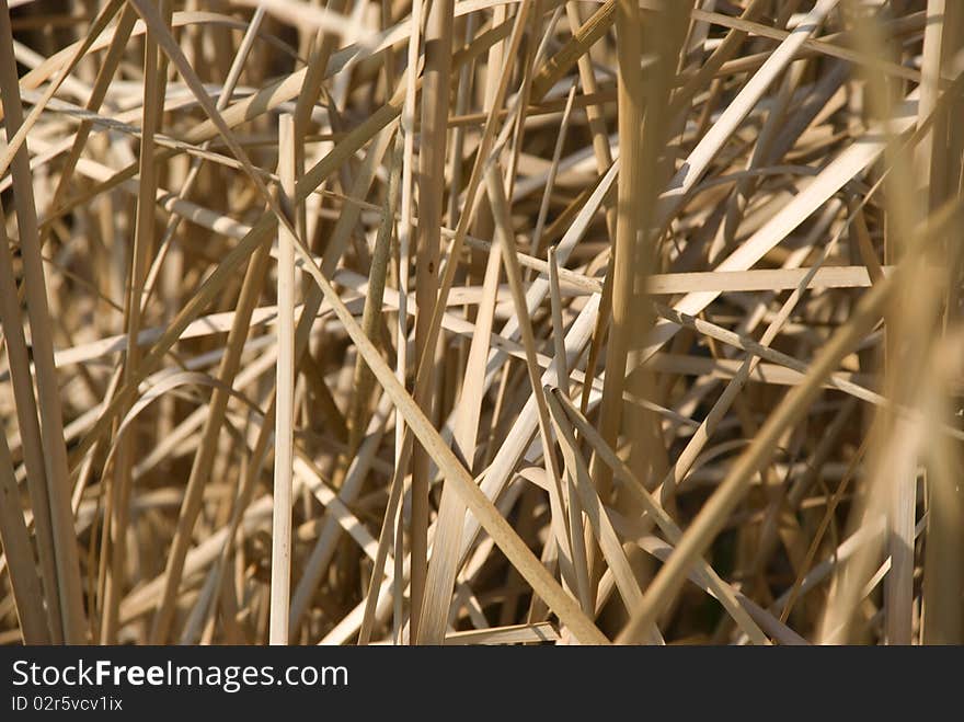 Straw background