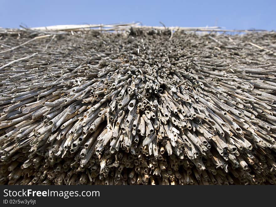 Straw Hat Detail