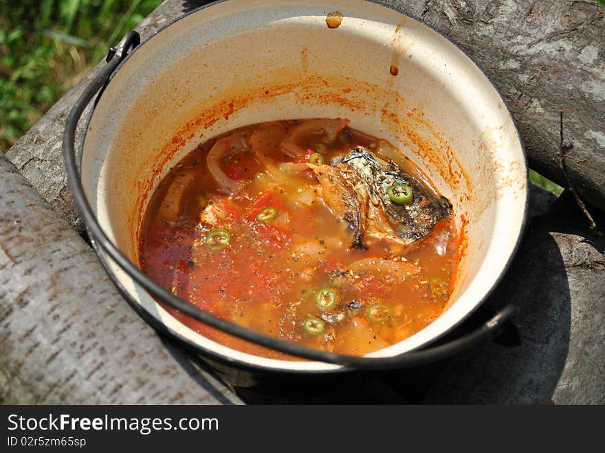 Cooked food- fish and vegetables in a stu