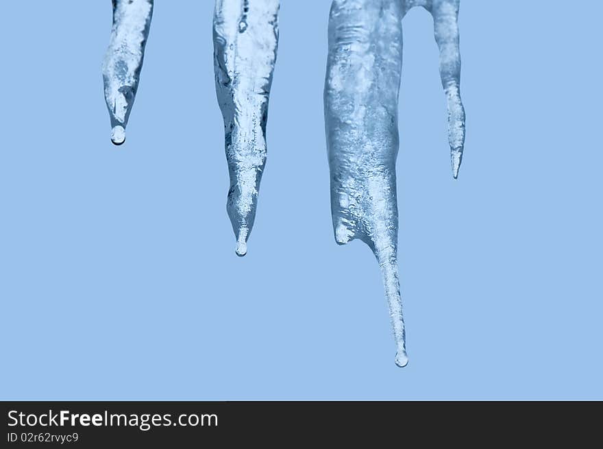 Thawing icicles of a blue shade with water droplets