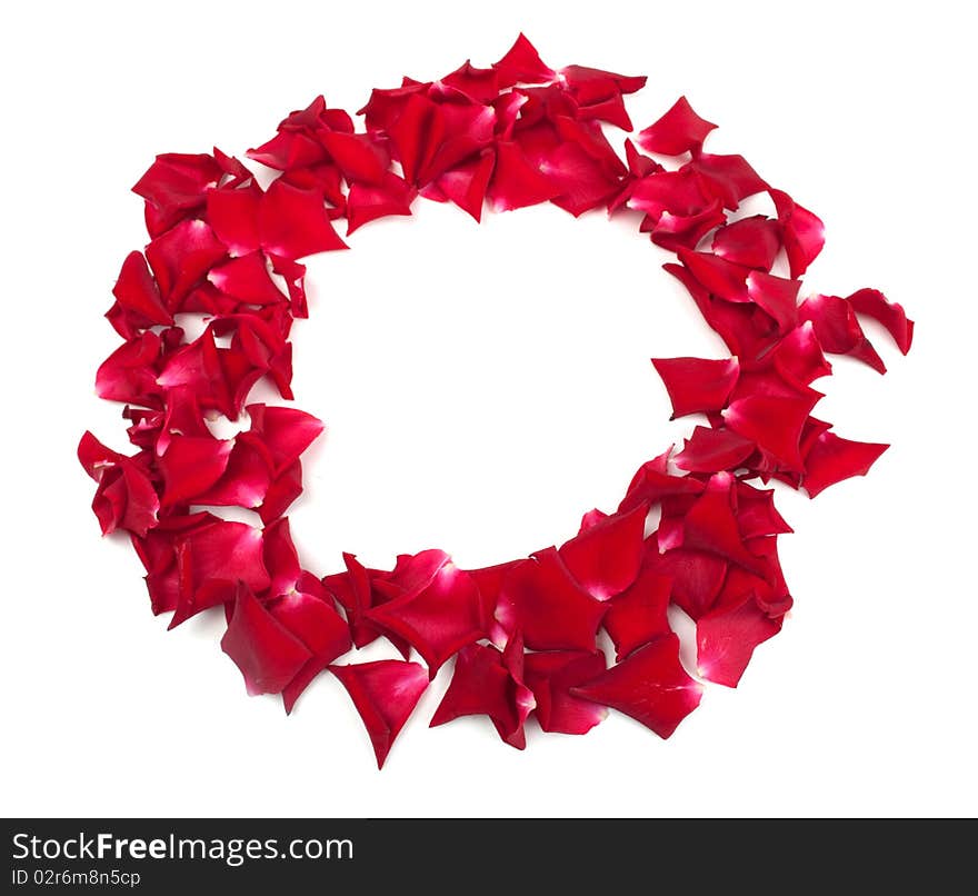 Rose petals on a white background