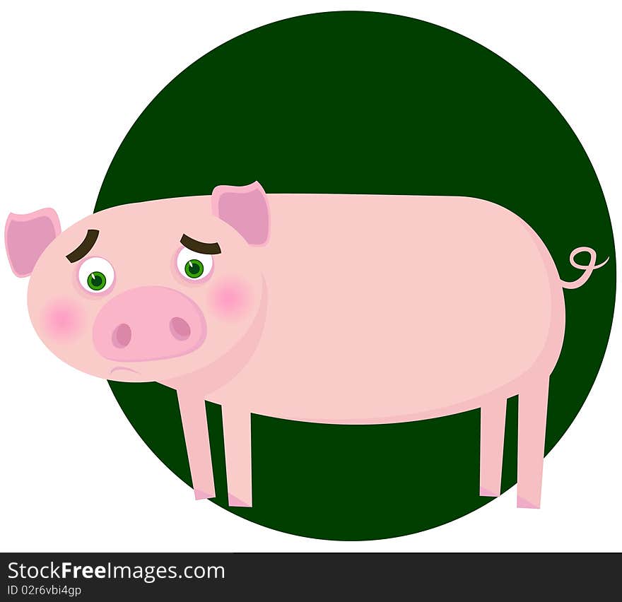 Amusing pig