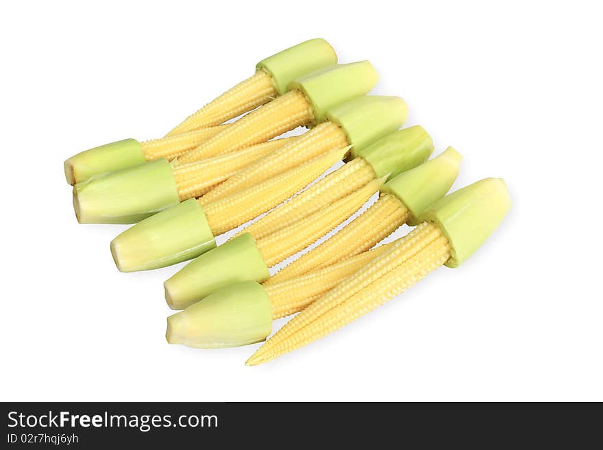 Baby corn   isolated